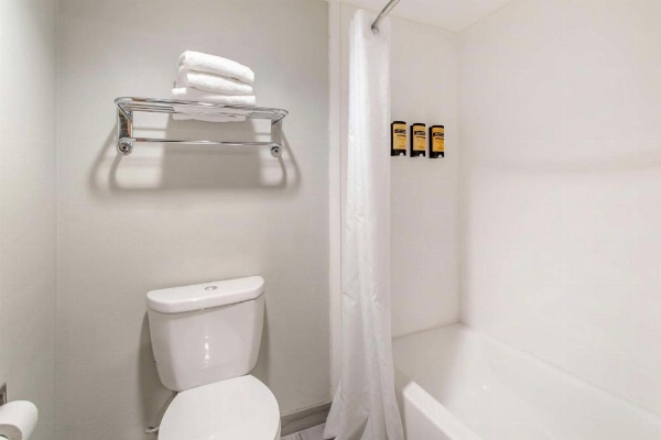 Best Western Plus Knoxville Cedar Bluff image 28